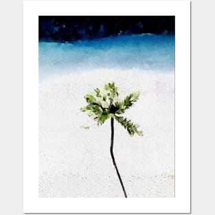 Coconut palm tree on the beach Posters and Art